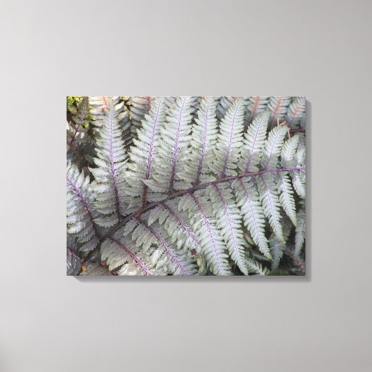 Japans geschilderde Fern Floral Canvas Afdruk (Voorkant)