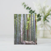 Japans Giant Bamboo Forest, Sagano, Kyoto, Japan Briefkaart (Staand voorkant)