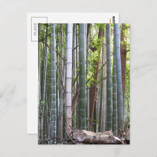Japans Giant Bamboo Forest, Sagano, Kyoto, Japan Briefkaart (Voorkant / Achterkant)