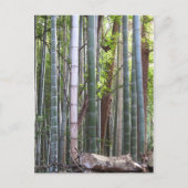 Japans Giant Bamboo Forest, Sagano, Kyoto, Japan Briefkaart (Voorkant)