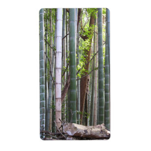 Japans Giant Bamboo Forest, Sagano, Kyoto, Japan Etiket