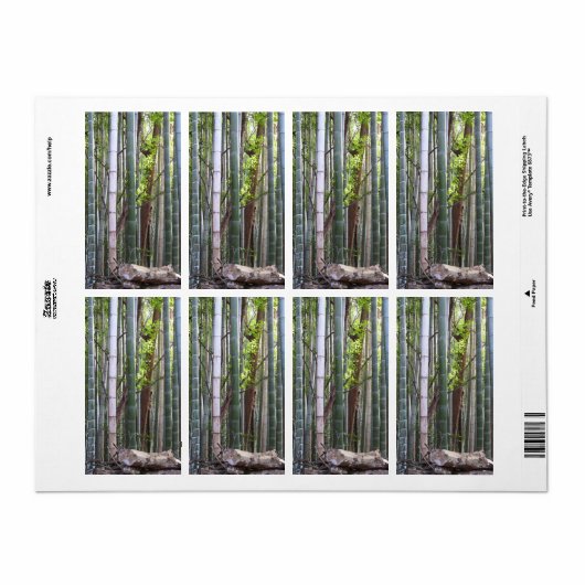 Japans Giant Bamboo Forest, Sagano, Kyoto, Japan Etiket (Full Sheet)