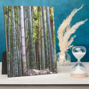 Japans Giant Bamboo Forest, Sagano, Kyoto, Japan Fotoplaat