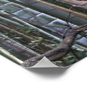 Japans Giant Bamboo Forest, Sagano, Kyoto, Japan Poster (Hoek)