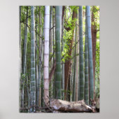 Japans Giant Bamboo Forest, Sagano, Kyoto, Japan Poster (Voorkant)