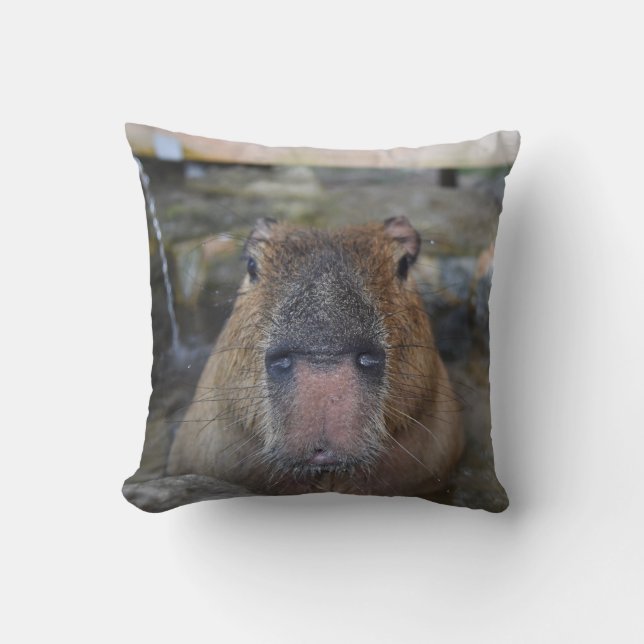 Japans Hot Spring Capybara Kussen (Voorkant)