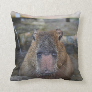 Japans Hot Spring Capybara Kussen
