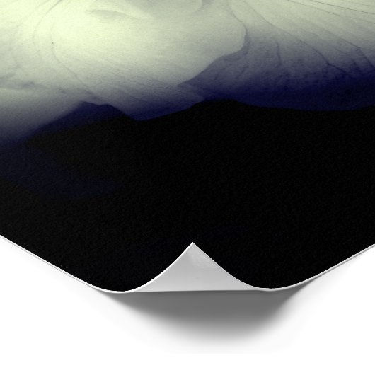 Japans Iris Black en White High Contrast Poster (Hoek)