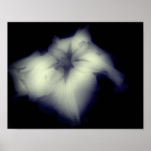 Japans Iris Black en White High Contrast Poster (Voorkant)