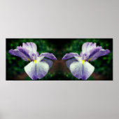 japans iris bloem ontvouwen spiegel Abstract Poster (Voorkant)