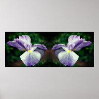 japans iris bloem ontvouwen spiegel Abstract