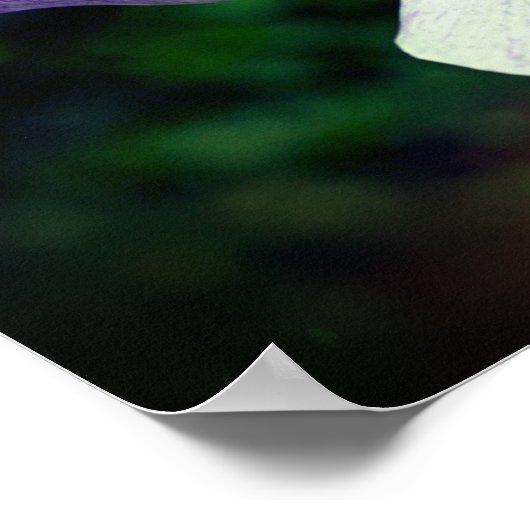 japans iris bloem ontvouwen spiegel Abstract Poster (Hoek)