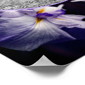Japans Iris Flower Lijst Creëer Uw eigen foto Poster (Hoek)