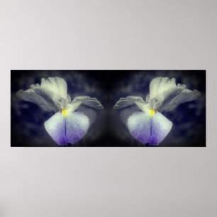 Japans Iris Flower Partial Color Mirror Abstract Poster