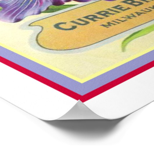  Japans Iris Seed Advertisement 16x20 Poster (Hoek)