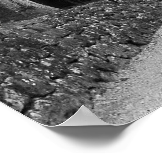 Japans klooster poster (Hoek)