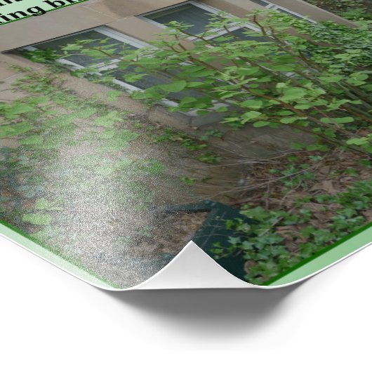 Japans Knotweed Foto Afdruk (Hoek)