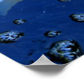 japans koi carp poster (Hoek)