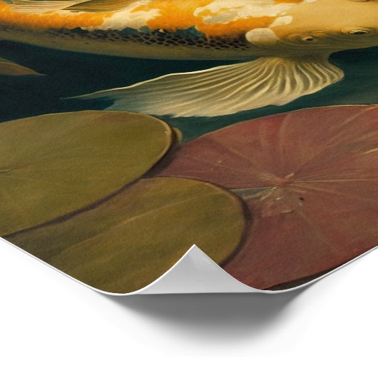  Japans Koi Fish Pond Art Print Poster (Hoek)