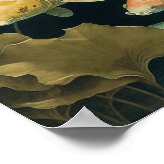  Japans Koi Fish Pond Art Print Poster (Hoek)