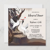 Japans kraanweduwenverhogend programma (Voorkant)