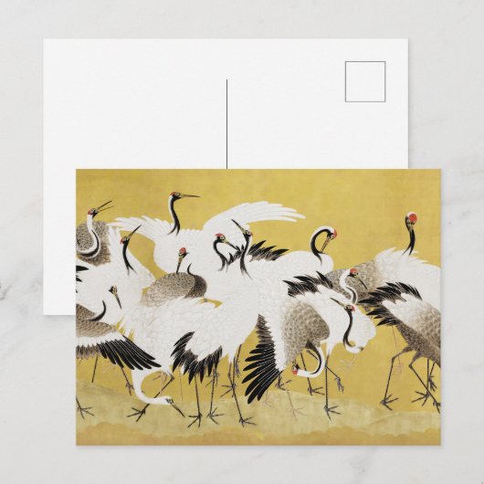 Japans kranen Bird Classic Briefkaart (Voorkant / Achterkant)