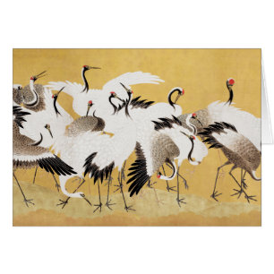 Japans kuddekranen  Vogelrijk Classic