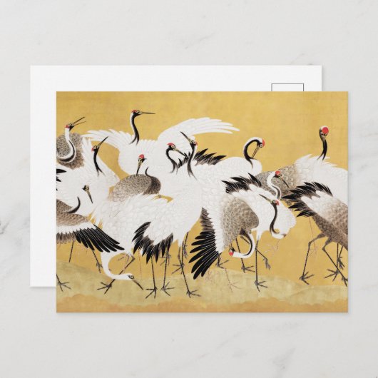 Japans kuddekranen  Vogelrijk Classic Briefkaart (Voorkant / Achterkant)
