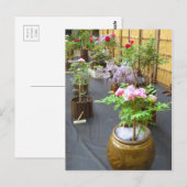 Japan's landschap [Briefkaart] Briefkaart (Voorkant / Achterkant)