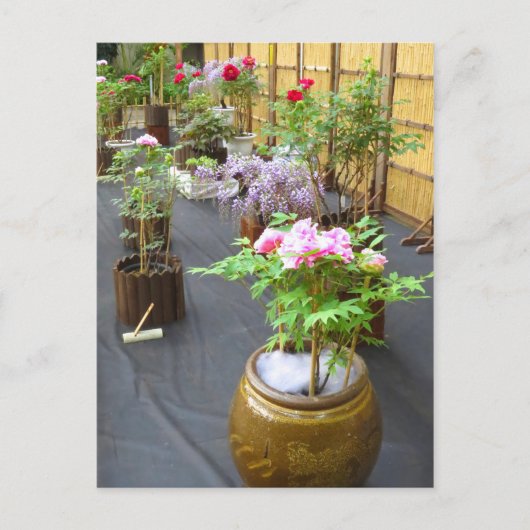 Japan's landschap [Briefkaart] Briefkaart (Voorkant)