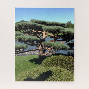Japans Landschap Tuin Bonsai Boom Natuur Puzzel Legpuzzel