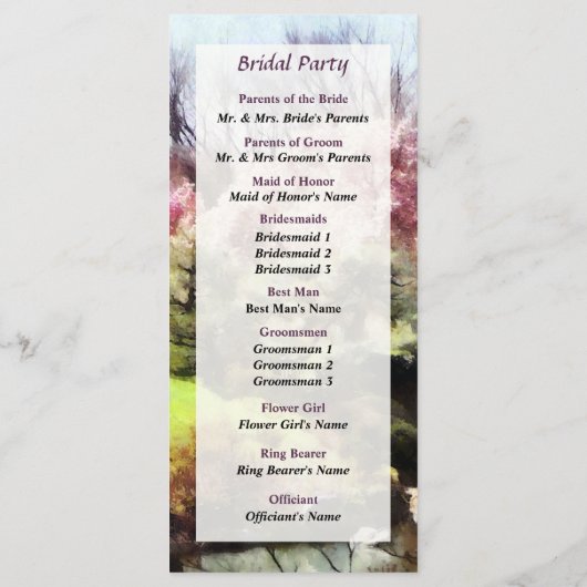 Japans lenteverbindingsprogramma programmakaart (Achterkant)