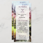 Japans lenteverbindingsprogramma programmakaart (Voorkant / Achterkant)