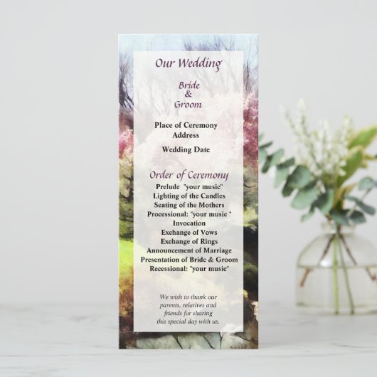 Japans lenteverbindingsprogramma programmakaart (Staand voorkant)