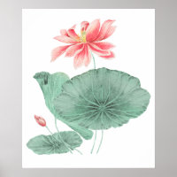 Japans lotus kunst print