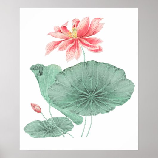 Japans lotus kunst print (Voorkant)
