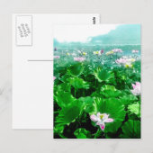  Japans Lotus Pond Old Japan Briefkaart (Voorkant / Achterkant)
