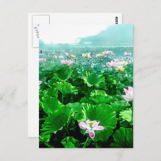Japans Lotus Pond Old Japan Briefkaart (Voorkant / Achterkant)