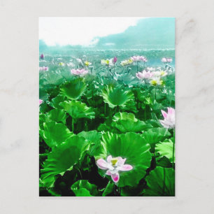 Japans Lotus Pond Old Japan Briefkaart