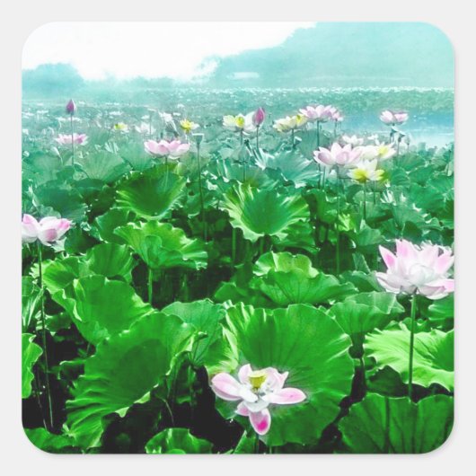  Japans Lotus Vijver Oud Japan Vierkante Sticker (Voorkant)