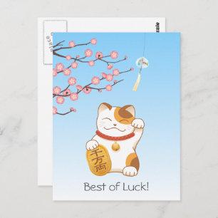 Japans Lucky Calico Cat, Maneki Neko Briefkaart