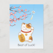 Japans Lucky Calico Cat, Maneki Neko Briefkaart (Voorkant)