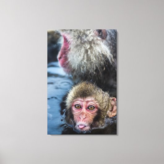 Japans Macaque Baby Canvas Afdruk (Voorkant)