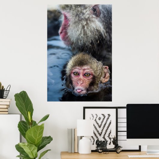 Japans Macaque Baby Poster (Thuiskantoor)