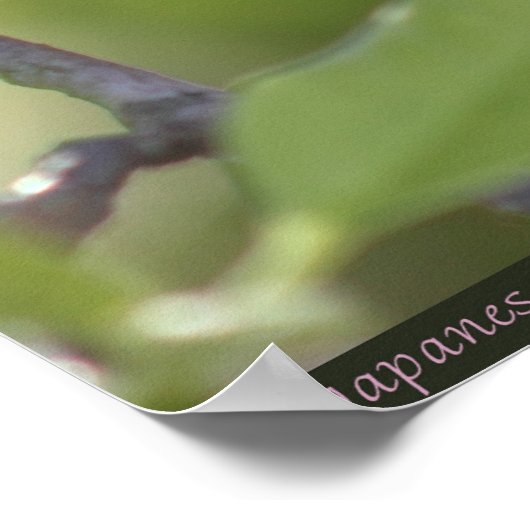 Japans Magnolia 2 Poster -40x60 - of kleiner (Hoek)