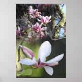 Japans Magnolia 2 Poster -40x60 - of kleiner (Voorkant)