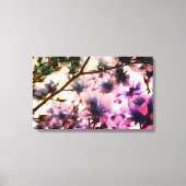 Japans Magnolia Canvas Print (Voorkant)