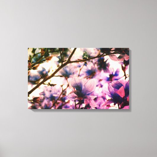 Japans Magnolia Canvas Print (Voorkant)