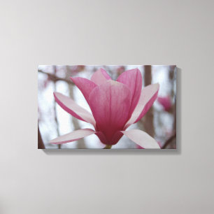 Japans Magnolia Canvas Print