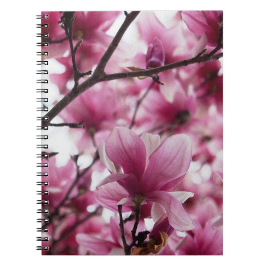 Japans Magnolia Notitieboek (Voorkant)